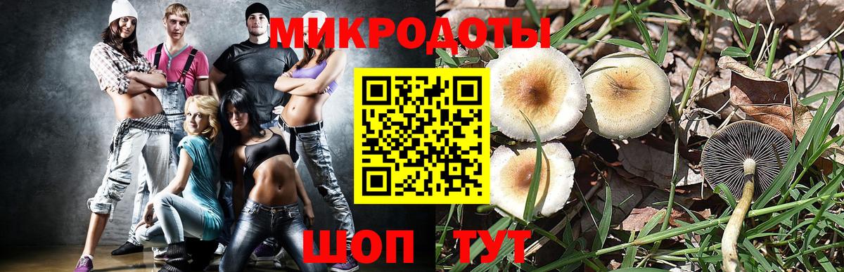 Галлюциногенные грибы MAGIC MUSHROOMS  Галлюциногенные грибы мицелий  Вход с VPN  Фрязино 