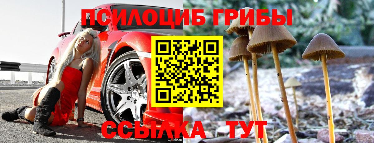 Галлюциногенные грибы GOLDEN TEACHER Фрязино
